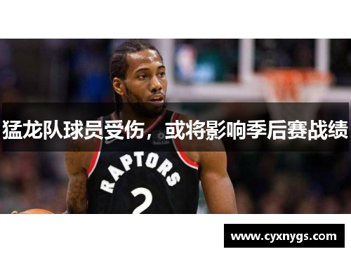 猛龙队球员受伤，或将影响季后赛战绩
