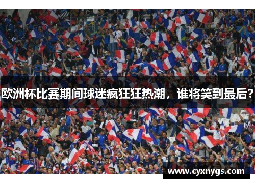 欧洲杯比赛期间球迷疯狂狂热潮，谁将笑到最后？