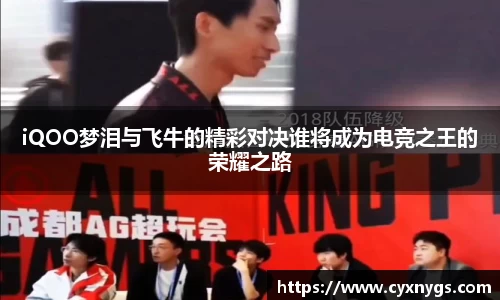 iQOO梦泪与飞牛的精彩对决谁将成为电竞之王的荣耀之路